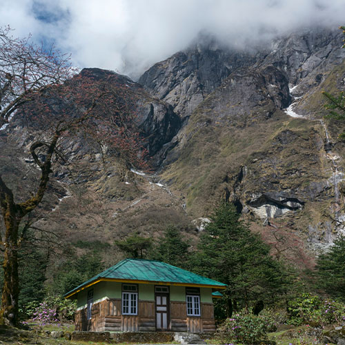 Lachung